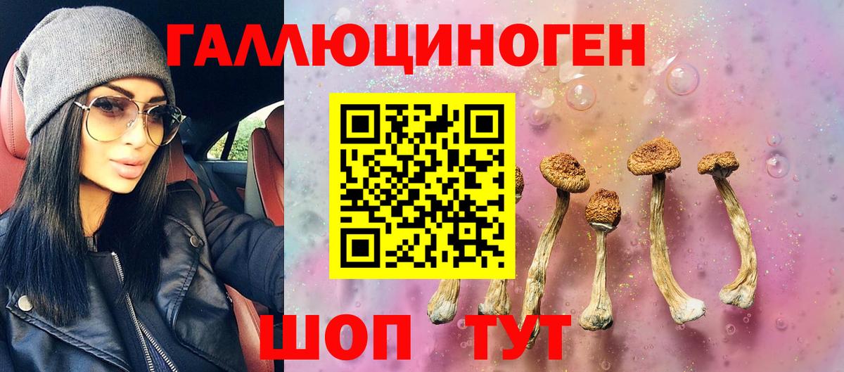 Галлюциногенные грибы прущие грибы Подольск