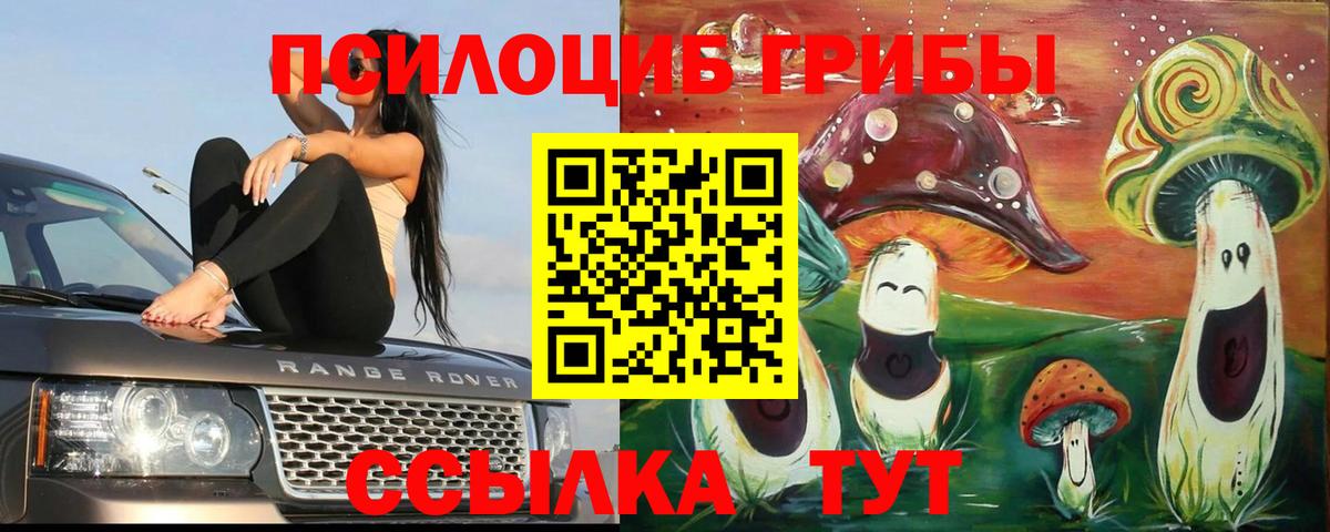 Подольск  Псилоцибиновые грибы GOLDEN TEACHER  Вход с VPN  Галлюциногенные грибы Psilocybine cubensis 